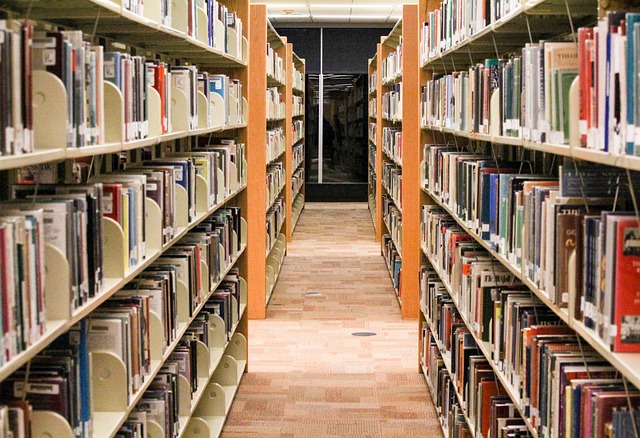 shelf 3258241 640